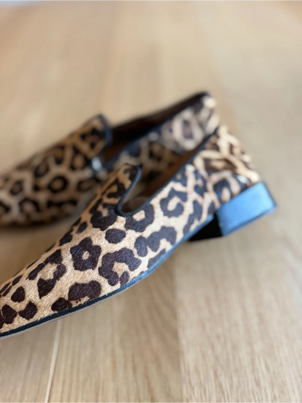Franco Sarto chic leopard